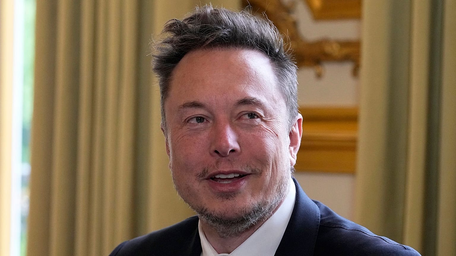 Elon Musk'ın aşırı sağcı Almanya için Alternatif (AfD) partisini desteklemesi, Almanya'da federal seçimlerden önce tartışmalara neden olmuştu