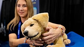 Jennie, a robotic dog for people who can not have a real pet, gets a scratch during 2025 CES Unveiled, Sunday, Jan. 5, 2025, in Las Vegas.