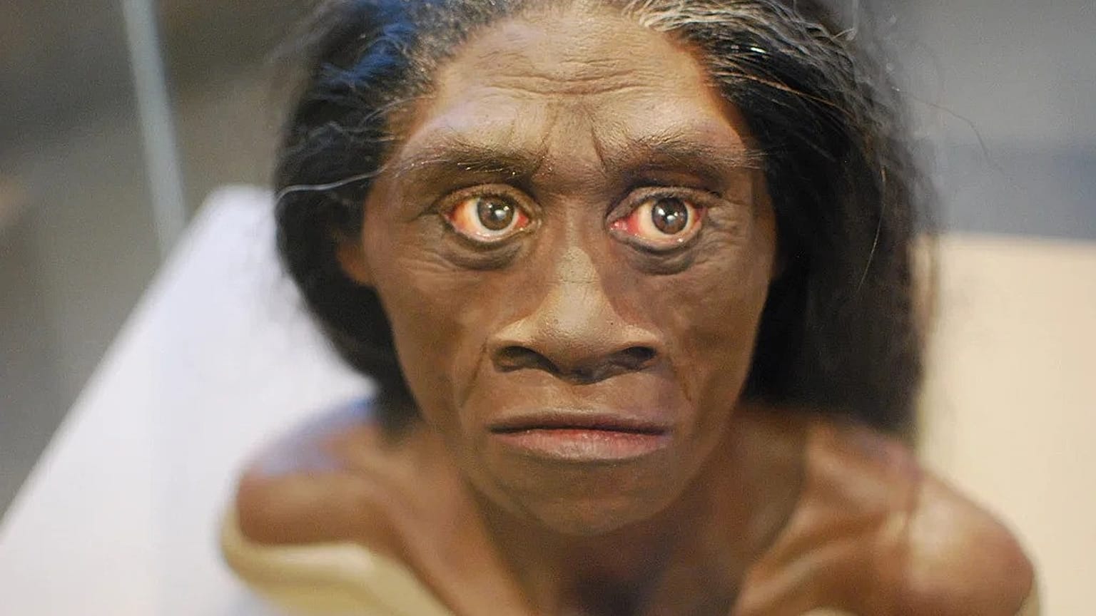 Homo floresiensis, 'Flores insanları' veya 'Hobbit' diye de biliniyor.