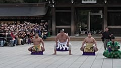 Sumo New Year