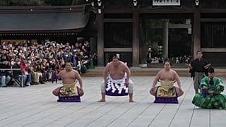 Sumo New Year