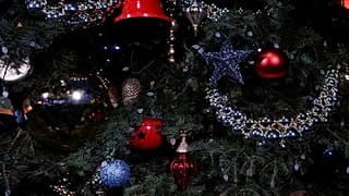 ARQUIVO: Uma árvore de Natal é fotografada no Bryant Park's Winter Village, Nova Iorque, EUA, 26 de novembro de 2024