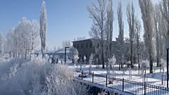 Natur unter Raureif in Ardahan in der Osttürkei, 07.01.2025