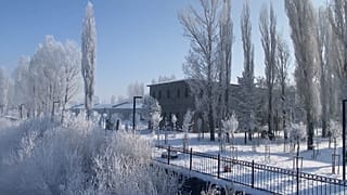 الطبيعة في حالة صقيع في أرداهان في شرق تركيا، 07.01.2025