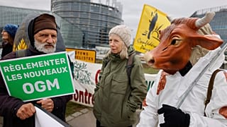 Farmers gather outside the European Parliament for a protest, in Strasbourg, eastern France, Tuesday, Feb. 6, 2024.
