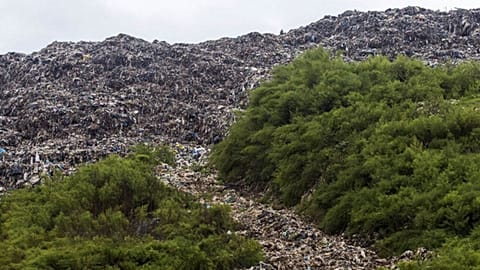 جنگل‌های سراوان رشت