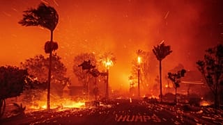 Un feu de forêt ravage un quartier de Los Angeles dans le quartier de Pacific Palisades, le 7 janvier 2025, sous l'effet de vents violents.
