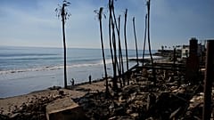 Beachfront properties are burned to the ground by the Palisades Fire on Friday, Jan. 10, 2025, in Malibu, Calif.
