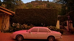 Los Angeles yangını devam ediyor