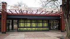 Der Eingang zum Tierpark Berlin, Berlin, Samstag, 11. Januar 2025, der nach dem Auftreten der Maul- und Klauenseuche vorsorglich für Besucher geschlossen wurde