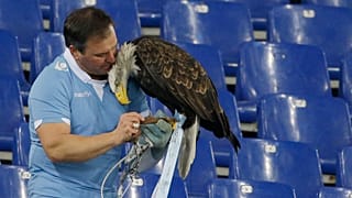 Lazio'nun maskotu Olympia adlı şahinin eğitmeni Juan Bernabe, AC Milan maçı öncesinde, 24 Ocak 2015
