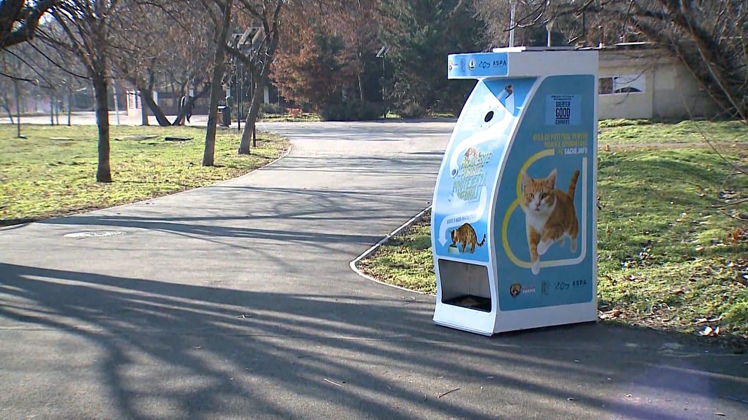 Distributeur automatique pour les chats sans abri à Bucarest