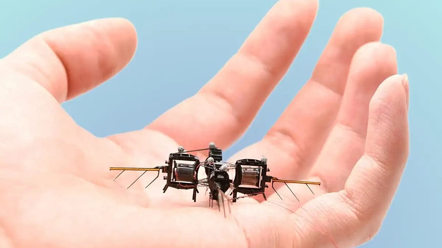 Yeni robot böcekler avuç içine sığacak boyutta