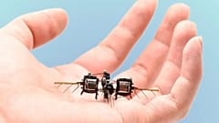 Yeni robot böcekler avuç içine sığacak boyutta