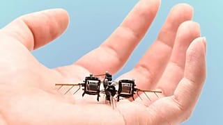 Yeni robot böcekler avuç içine sığacak boyutta