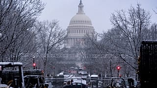 После инаугурации Трампа в Вашингтоне ожидается большое собрание европейских правых политиков и евродепутатов.