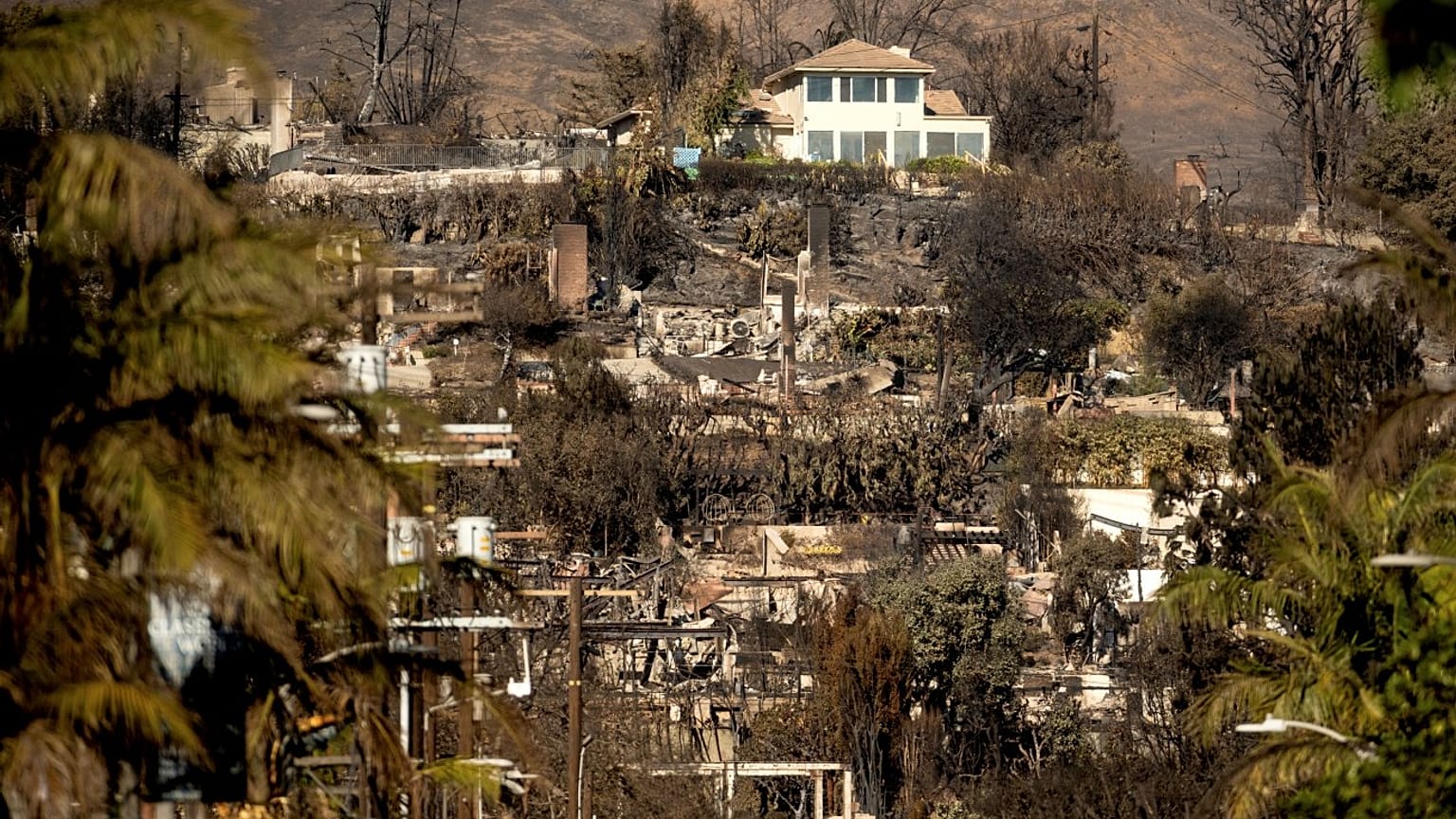 Los Angeles yangınları