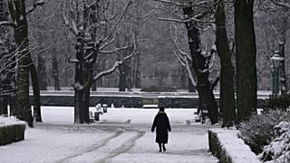 Eine Frau geht im Park spazieren, nachdem am frühen Morgen im Zentrum von Brüssel Schnee gefallen ist.