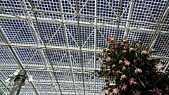 Der Vatikan hat die Revolution der erneuerbaren Energien im vergangenen Jahr mit einem neuen Photovoltaik-Glasdach am Eingang der Vatikanischen Museen unterstützt (Bild: 20. Dezember 2024). 