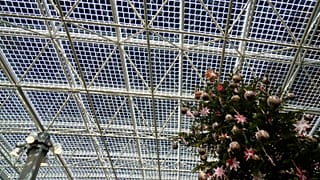 O Vaticano contribuiu para a revolução das energias renováveis no ano passado, com um novo telhado de vidro fotovoltaico à entrada dos Museus do Vaticano, na foto de 20 de dezembro de 2024.