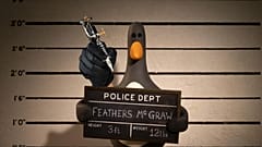 Shiver! Feathers McGraw 