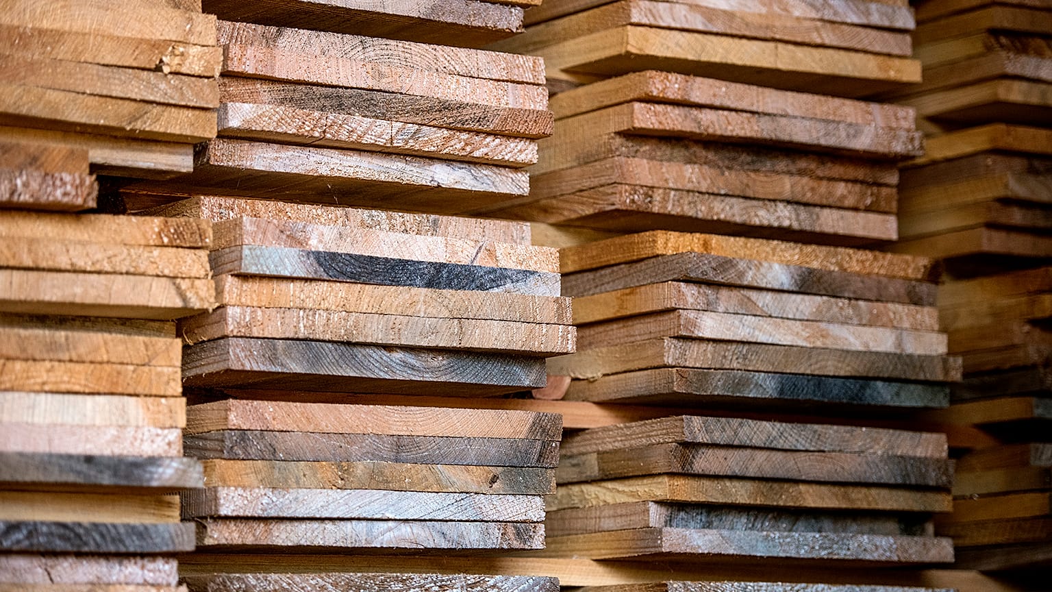 Le Portugal impliqué dans un système d'importation illégale de bois en provenance de Russie