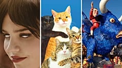 "Companion" ; le catalogue de l'exposition "Chromotherapia : The Feel-Good Color Photography" ; un char au carnaval de Viareggio en 2006. 