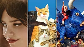 "Companion" ; le catalogue de l'exposition "Chromotherapia : The Feel-Good Color Photography" ; un char au carnaval de Viareggio en 2006.