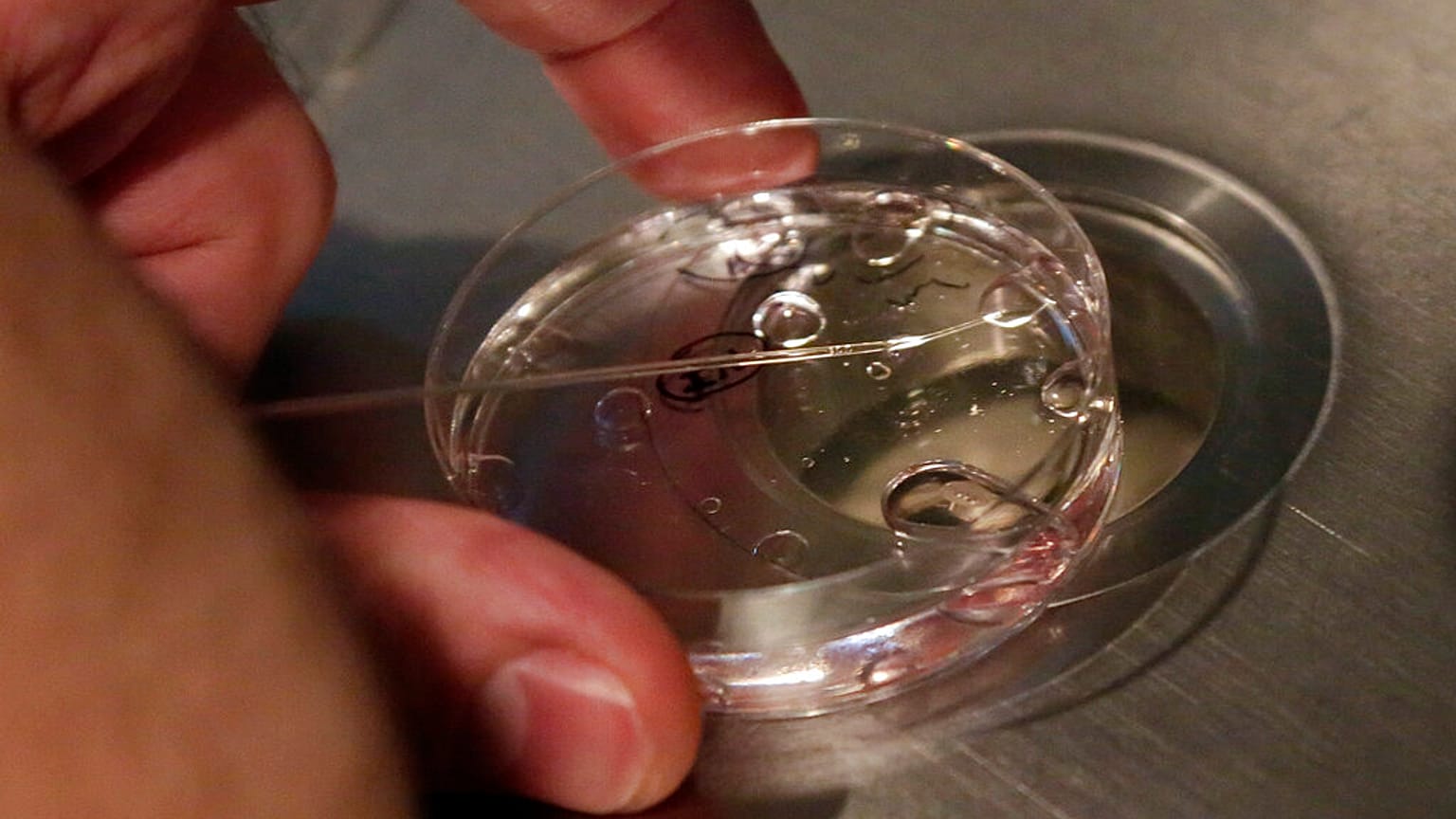 Polonya, IVF politikasındaki değişikliğin ardından doğan ilk çocuğu karşıladı.