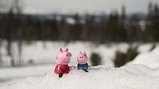 Temsili görsel