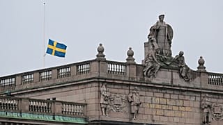 Machen 79 % der Flüchtlinge in Schweden Urlaub in ihrer Heimat?