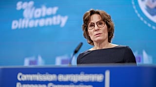 "Durante demasiado tiempo hemos tratado el agua como un recurso inagotable; tenemos que cambiar esa mentalidad", declaró la Comisaria de Medio Ambiente, Jessika Roswall.