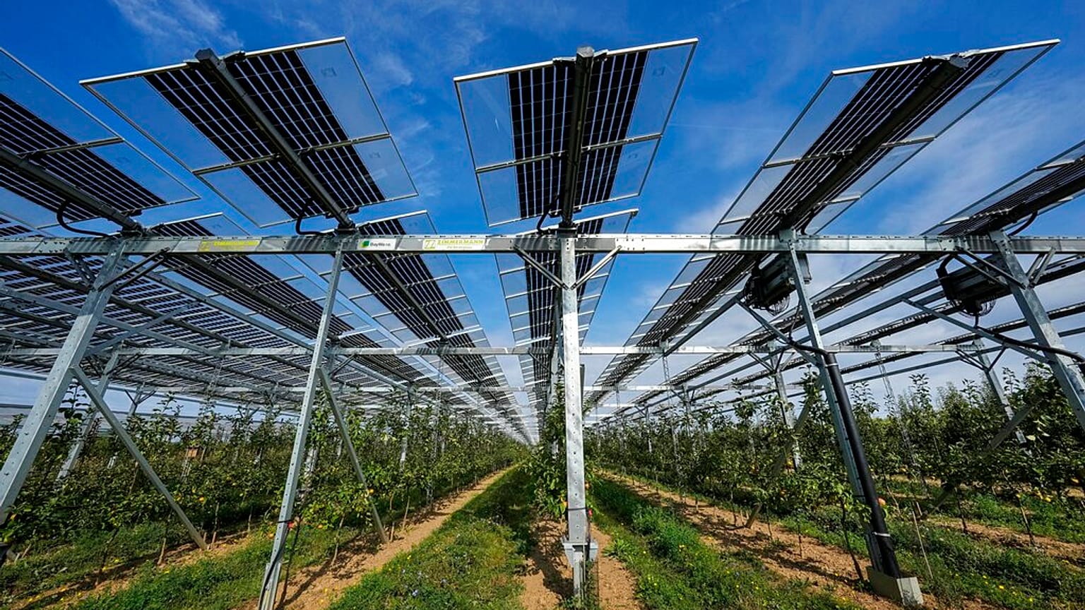 Történelmi év volt a napenergiának 2024, először haladta meg felhasználása a szénét Európában