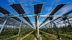 Történelmi év volt a napenergiának 2024, először haladta meg felhasználása a szénét Európában