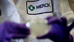 FILE - A Merck scientist conducts research