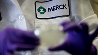 FILE - A Merck scientist conducts research