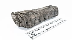 طومار رومی