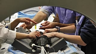 Un gatto viene preparato per una Tac presso l'Animal Medical Center di New York, Stati Uniti, 22 giugno 2010
