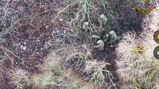 Ukrayna güçleri Rusya'nın Kursk sınır bölgesinde Rus güçleriyle birlikte savaşan iki Kuzey Kore askerini yakaladı, 11 Ocak 2025 (AP aracılığıyla Ukrayna Cumhurbaşkanlığı Basın Ofisi)