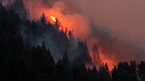 Gli incendi nell'area di El Bolsòn