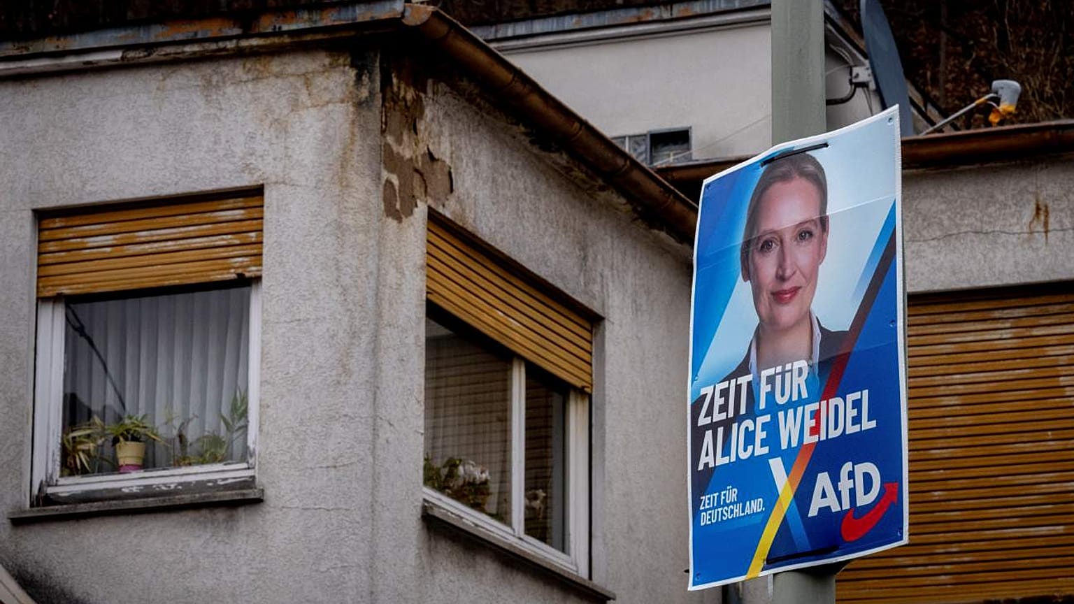 AfD