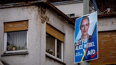 AfD