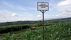 A sign saying the land is owned by MNC Land is put up on a farming field at the planned development site in 8 March 2017. 