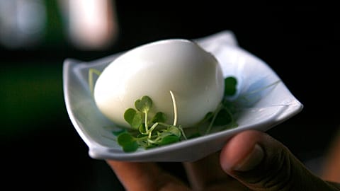 تخم‌مرغ پزی در آشپزی هنر محسوب می‌شود