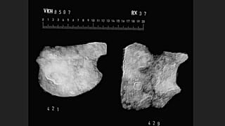 Placas metálicas del casco romano desenterrado en Løsning Søndermark
