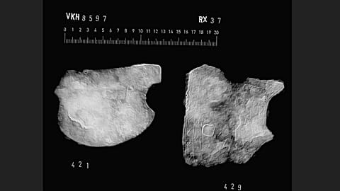 Metal plates from the Roman helmet unearthed in Løsning Søndermark