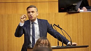 Parliamentarian and head of the Austrian Federal Economic Chamber Wolfgang Hattmannsdorfer in the Austrian Parliament, 11 Dec 2024
