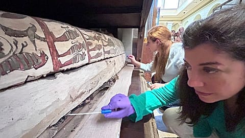 Emma Paolin, PhD researcher at University of Ljubljana, background and Dr. Cecilia Bembibre, lecturer at the University College London take swab samples