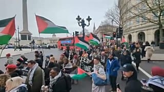 مظاهرة ضخمة في لندن دعماً للفلسطينيين