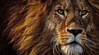 عکس آرشیوی